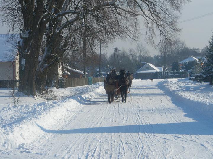 IMGP0370.JPG