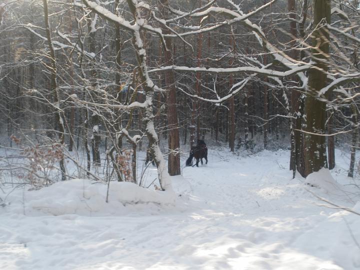 IMGP0387.JPG