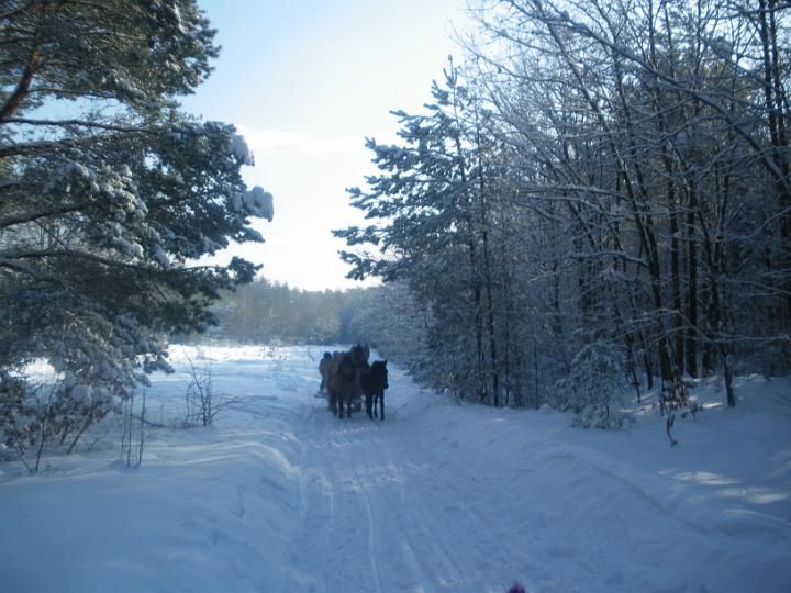 IMGP0400.JPG