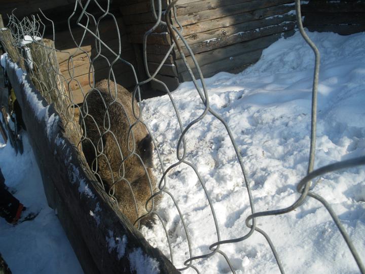 IMGP0445.JPG