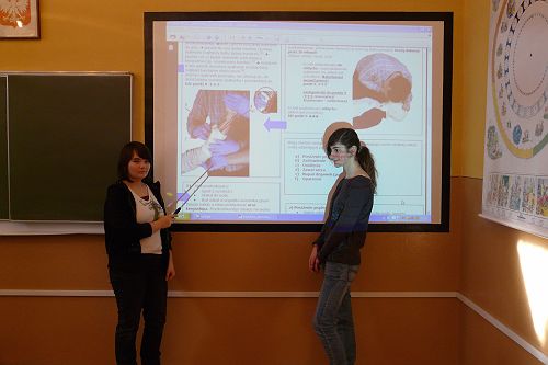 P1010254.jpg