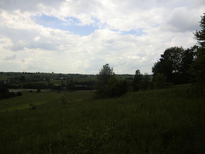 CIMG6961.JPG