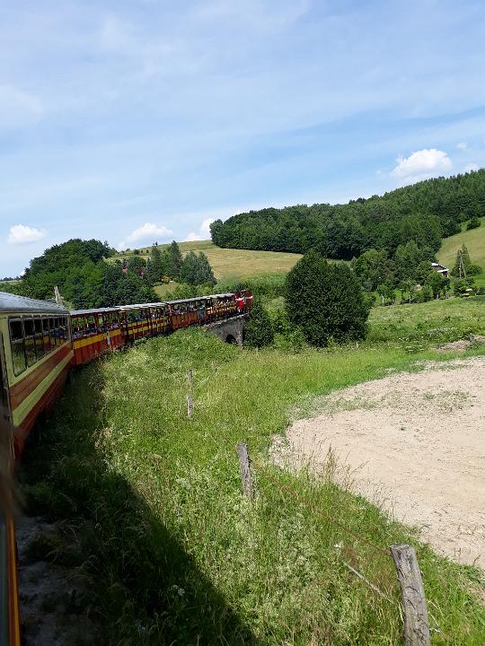 20180609_151006.jpg