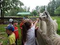 IMG_20220610_104238