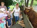 IMG_20220610_105451