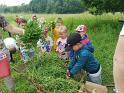 IMG_20220610_113919