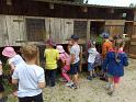 IMG_20220610_120332