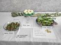 IMG_20220317_094338