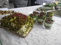 IMG_20220317_100932