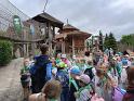 IMG20250613121649