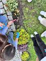 IMG_3716