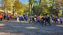 IMG-20241025-WA0003